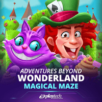 Magic Maze Wonderland Adventure